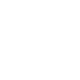 Euro minca